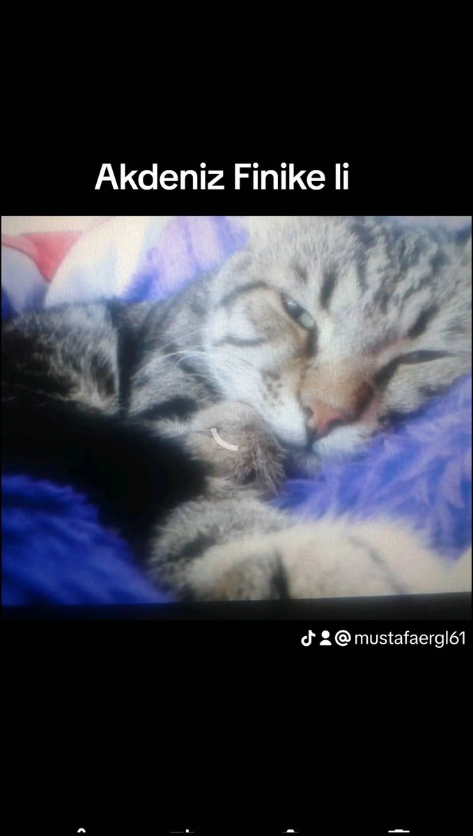 Kayıp hâlâ devam aramaya