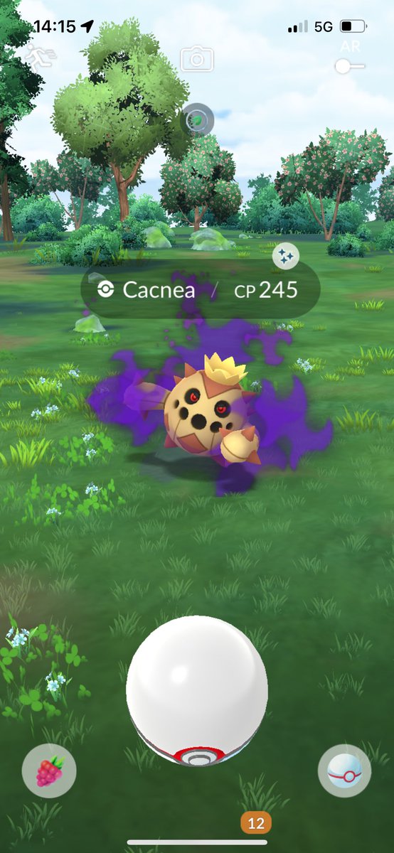 first shiny shadow cacnea 😻