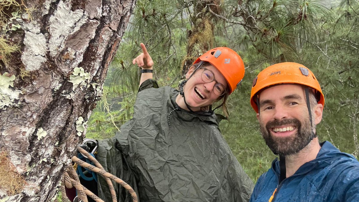 And we're off - the 2024 #OperationWallaces expedition to #Honduras is now well underway and our #CanopyAccess instructors are loving it! 

Great people, wonderful location, fantastic #wildlife, awesome #trees - what's not to love?!

See you in the #canopy!! 🌲😊
#TreeClimbing