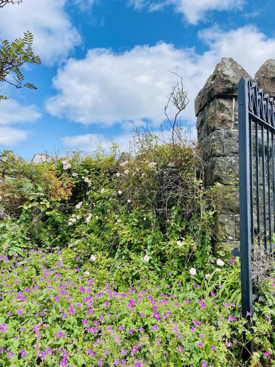 EllieKa66133452's tweet photo. Sunday morning walk down the #BlackGlen #Castlerock https://t.co/F6VV5QbSwV