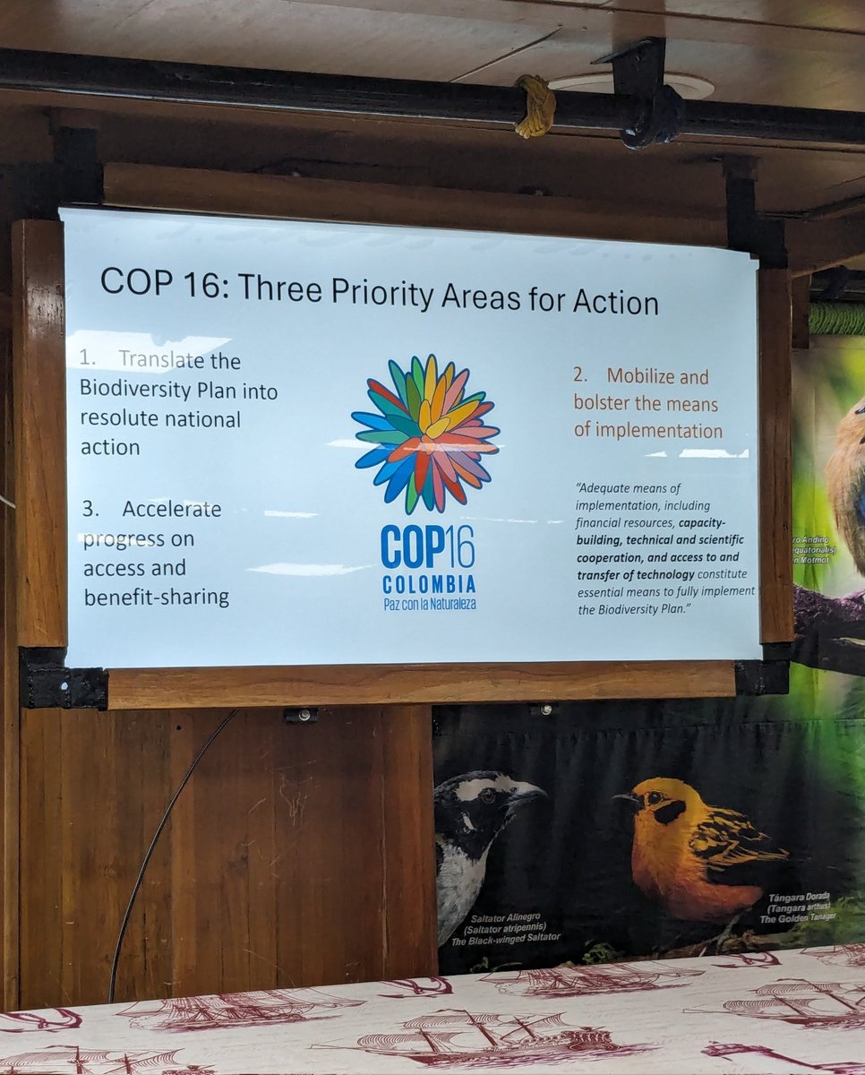 Paola Barajas Barbosa tweet media