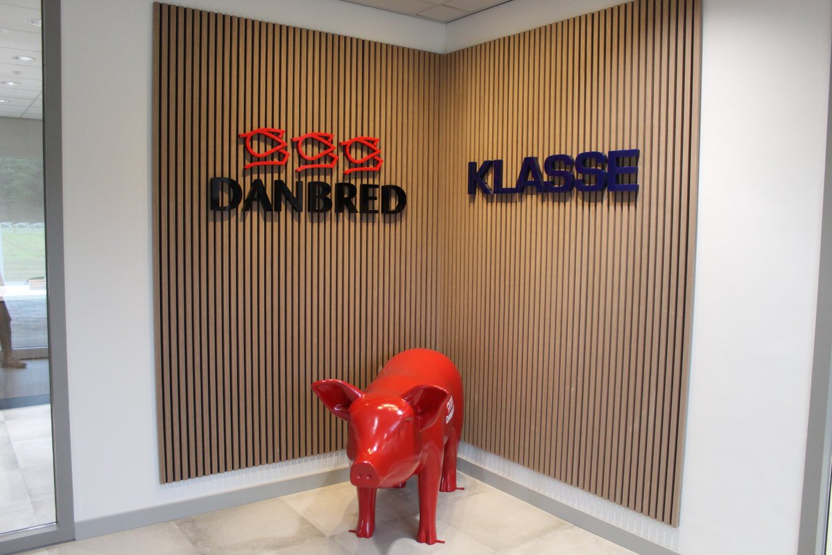 StefanDerks2's tweet photo. Opening new office, lab and logistic centre.  #KLASSE #DanBred #DUROC ,#DuRock https://t.co/BAeVZ84ngj