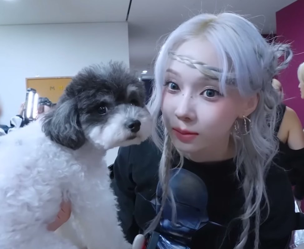 Pp_ffle's tweet photo. ㅁㅊ겠다진짜 https://t.co/XdoLAjqont