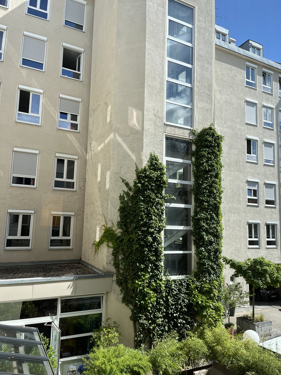 Gm to those who say it back ☀️