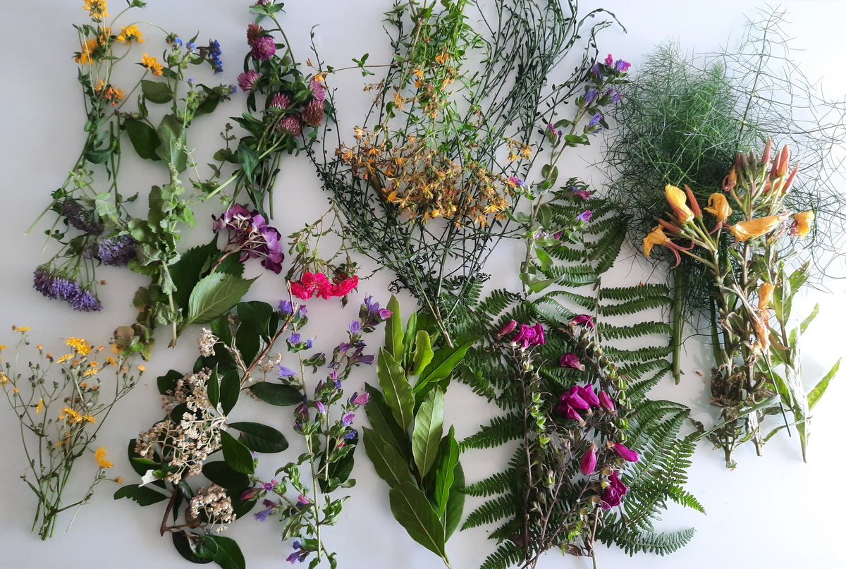 mariaantn2's tweet photo. Manter ás tradicións é preservar á nosa cultura. Nas vésperas de San Xoán, sardiñas e frores .... #nonestantodasasqueson #sinsontodasasqueestan #sonasmiñas #meigasfóra https://t.co/M0sy7IlBK2