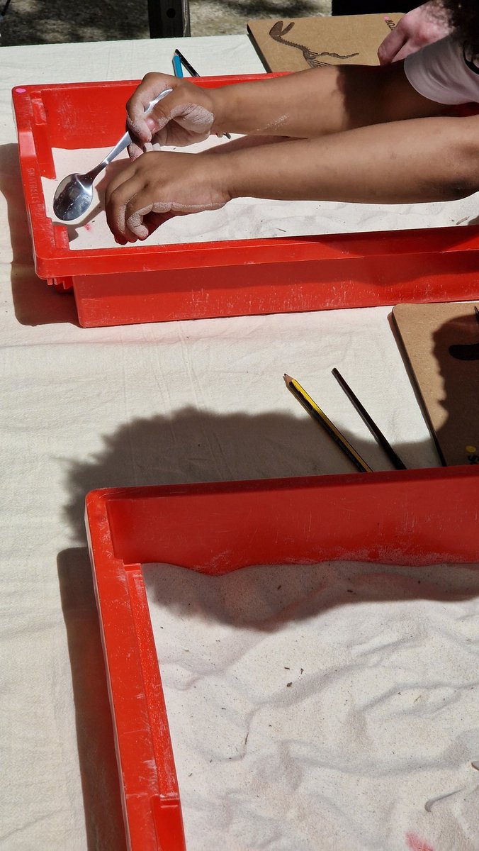 John (Paléo-J) ⛏️🐾🌍 tweet media