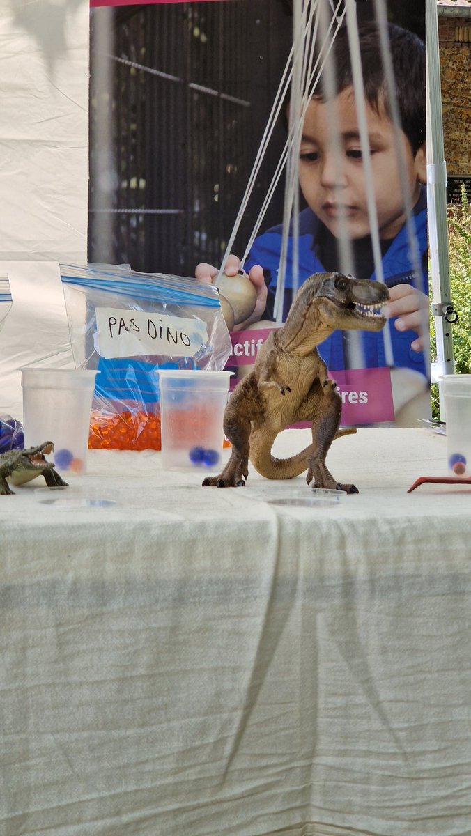 John (Paléo-J) ⛏️🐾🌍 tweet media