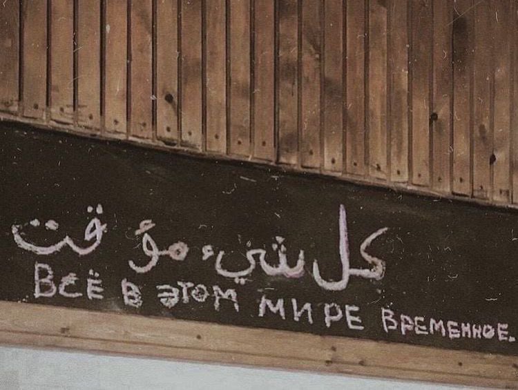 الأخ هماليل 🏇 tweet media