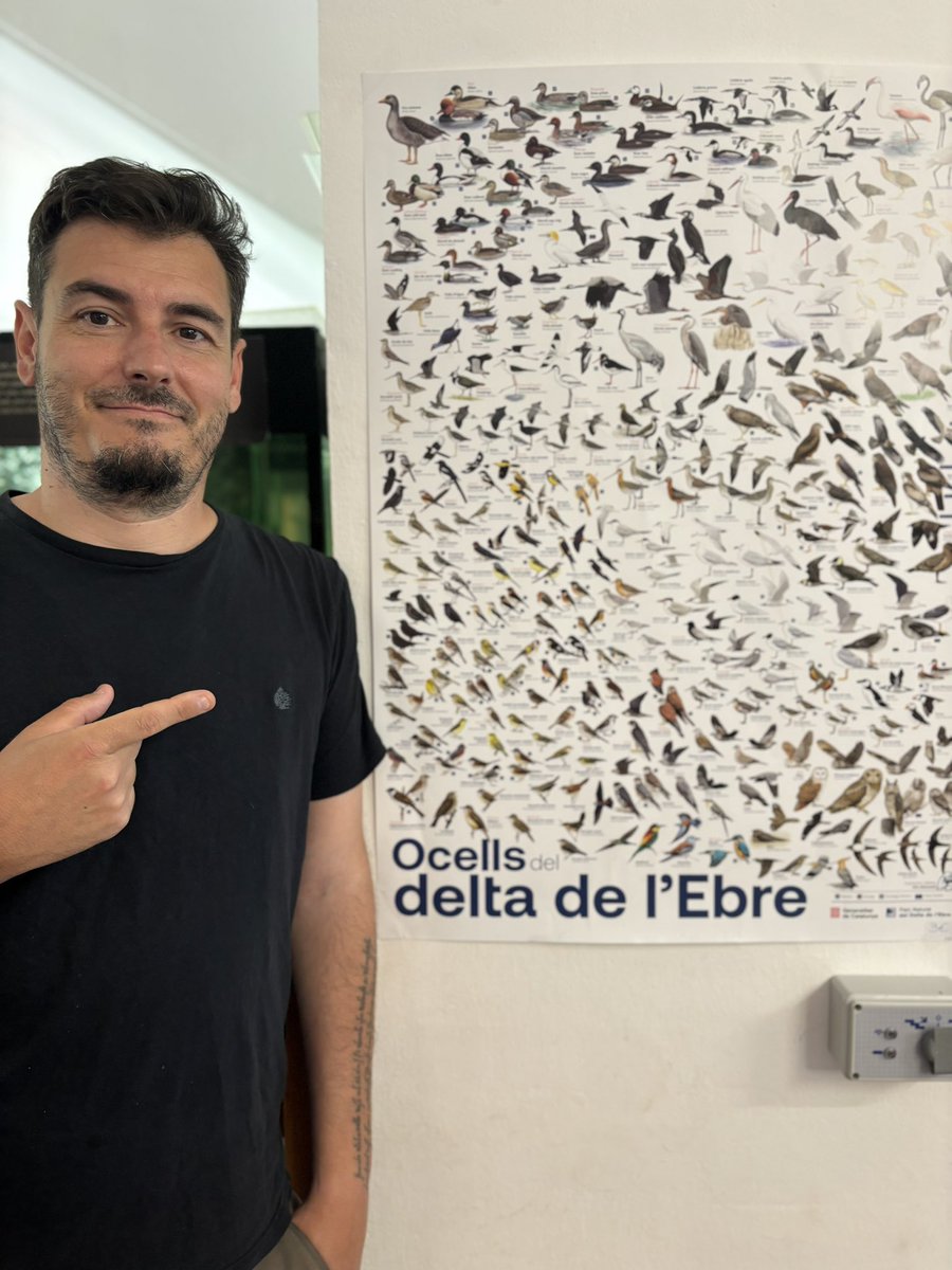 AlexMascarell's tweet photo. Avui he anat de visita a l'#Ecomuseu del Parc #Natural del delta de l' #Ebre @parcscat, a buscar el póster dels #Ocells del delta que hem fet amb el grandíssim @marianocebolla i companyia! Ja podeu comprar-lo per 3€ de no res! Coses xules de pardals a la meva terra! M'emociona! https://t.co/u8Fk5dGurE