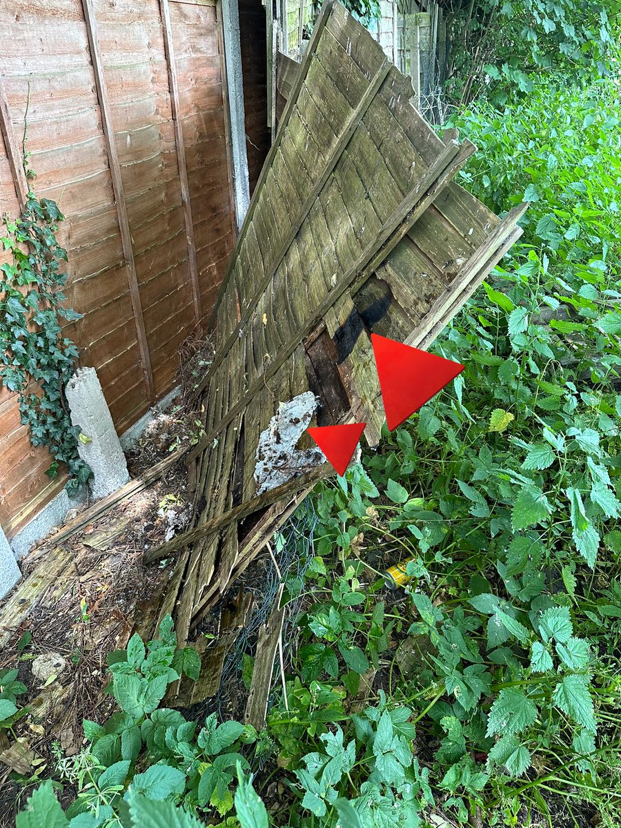 AndarB's tweet photo. @manchesterfire was cycling down the path by Lime Tree Primary Academy and came across a fence on fire (basketball size flame). Put it out with my water bottle but thought I should let someone know because it seemed very odd. No one around either. https://t.co/xnaXjoCNbG