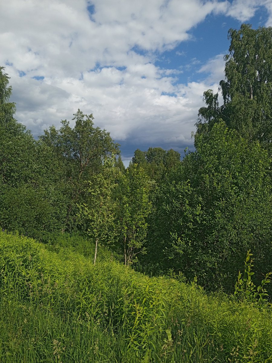 Shellia_np's tweet image. Чуть чуть расслабленного вайба и смотрите какой кошьь 💔