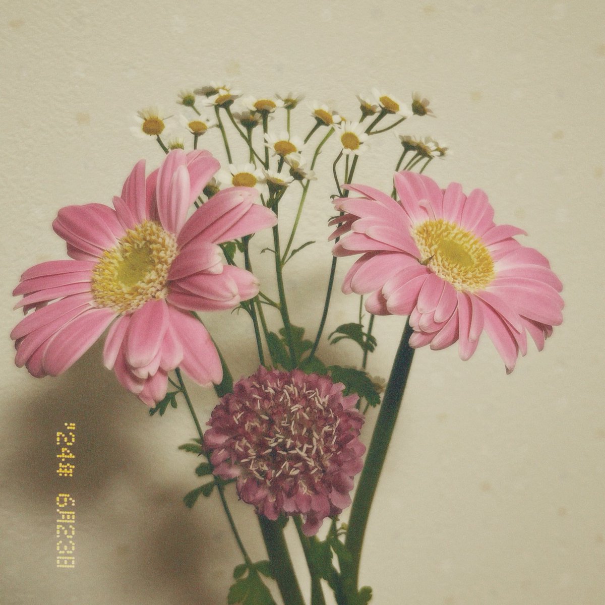 shiro_an__'s tweet photo. 拓実さん25歳おめでとうだよ🥳✨
デビューして何年経っても新たな一面を見せ続けてくれる君に、いつも元気と勇気をもらってます、ほんとに🫶🏻
この1年は2525な年にしましょう😏
#HappyTakumiDay
#拓実とずっと一緒にいる悪魔の契約 https://t.co/SDG89rm3tw