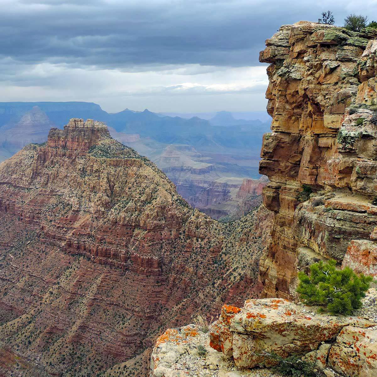 Grand Canyon NPS tweet media