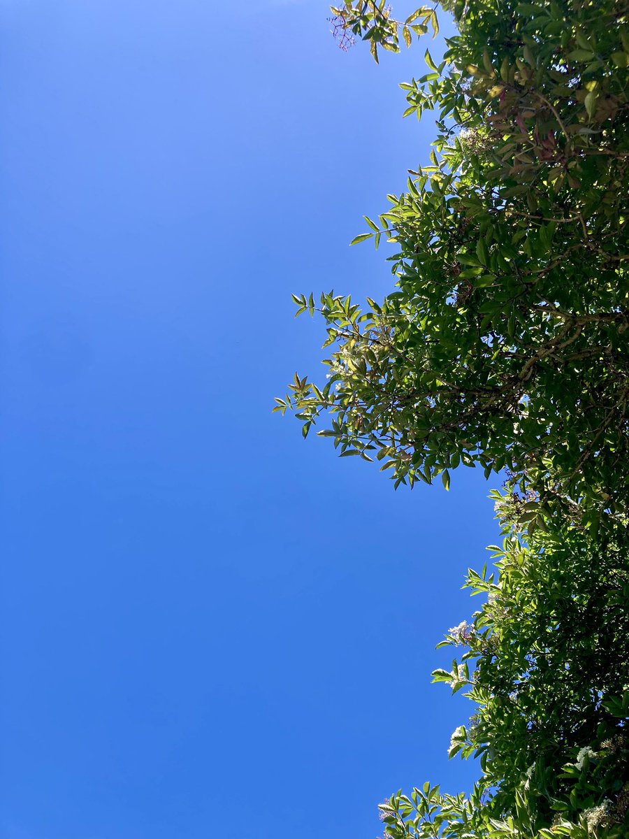 Summer has arrived in Newcastle, just in time for #chiwork2024! Soaking up the sunshine ahead of a busy but exciting week 😎