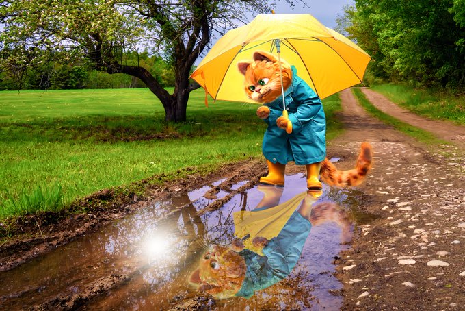 Блог Кота Моти.: шыстоой фторых..нувыпонили catmotya.blogspot.com/2024/06/blog-p…