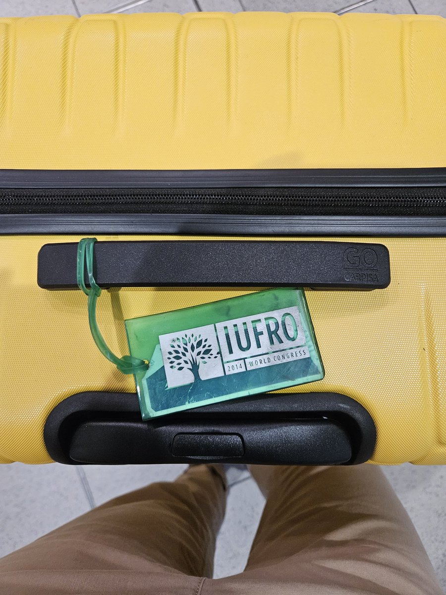 LabVillari's tweet image. From one world meeting to another. #Iufro2024!