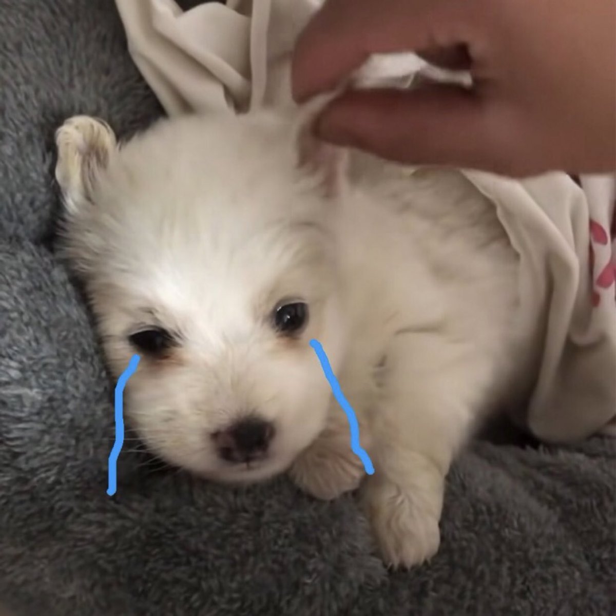 takemybear's tweet image. คิดถึงคับ แต่ทนได้ (ไม่ได้)