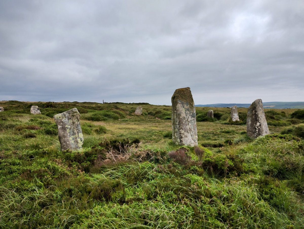 DeSelbysGoldenHours tweet media