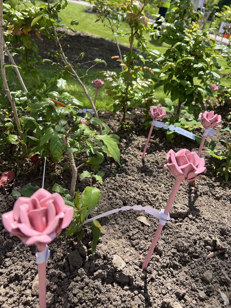 Privileged to support the #Royton <a href="/coopuk/">Co-op</a> store sponsored Rose To Remember event today with <a href="/Ramsden85/">Darren Ramsden</a> &amp; <a href="/KershawsHospice/">Dr Kershaw's Hospice</a> 🩵 Thanks for inviting me to read the rose poem! Such a special day bringing community together in support.  Loved <a href="/OldhamMayor/">Oldham Mayor</a> ‘s speech on showing care 🩵