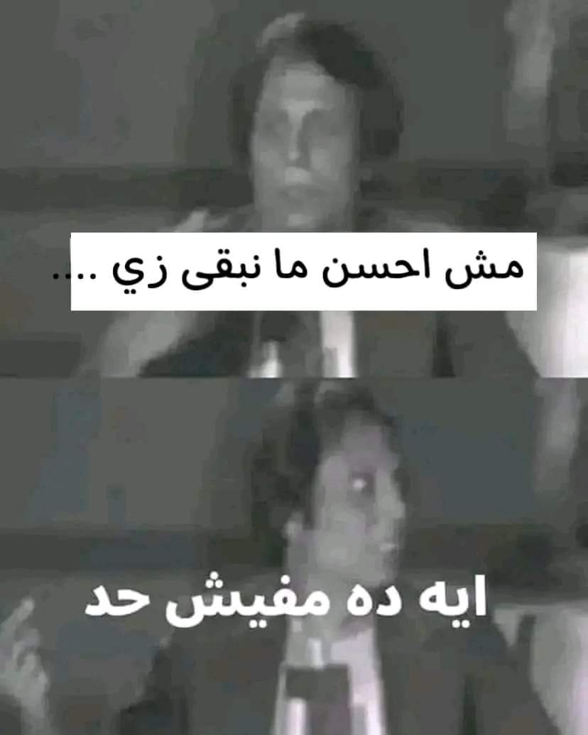 ` (@mosaab_mahmoud) on Twitter photo 