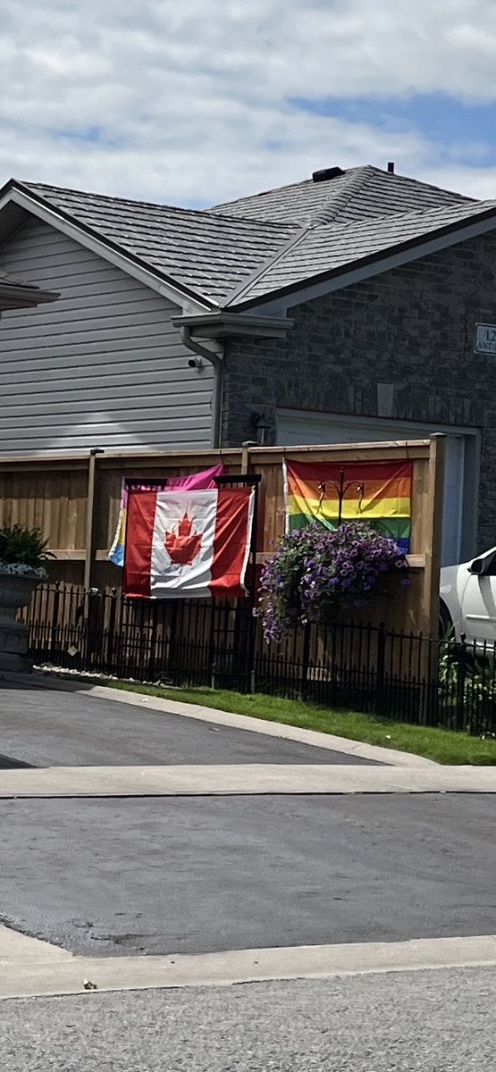 Flag wars in the neighbourhood- unfortunately one neighbour keeps covering up the pride flags the other puts up- not sure what started all this- the investigation continues!!