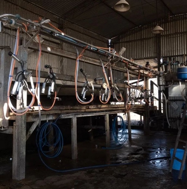 Proyecto Habitar tweet media