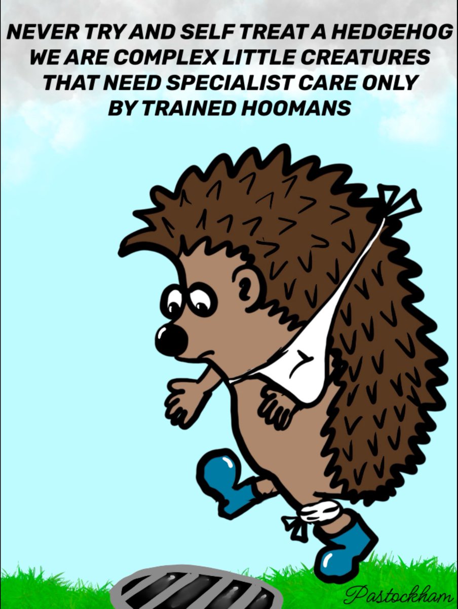 paul stockham (@pstockham) on Twitter photo 