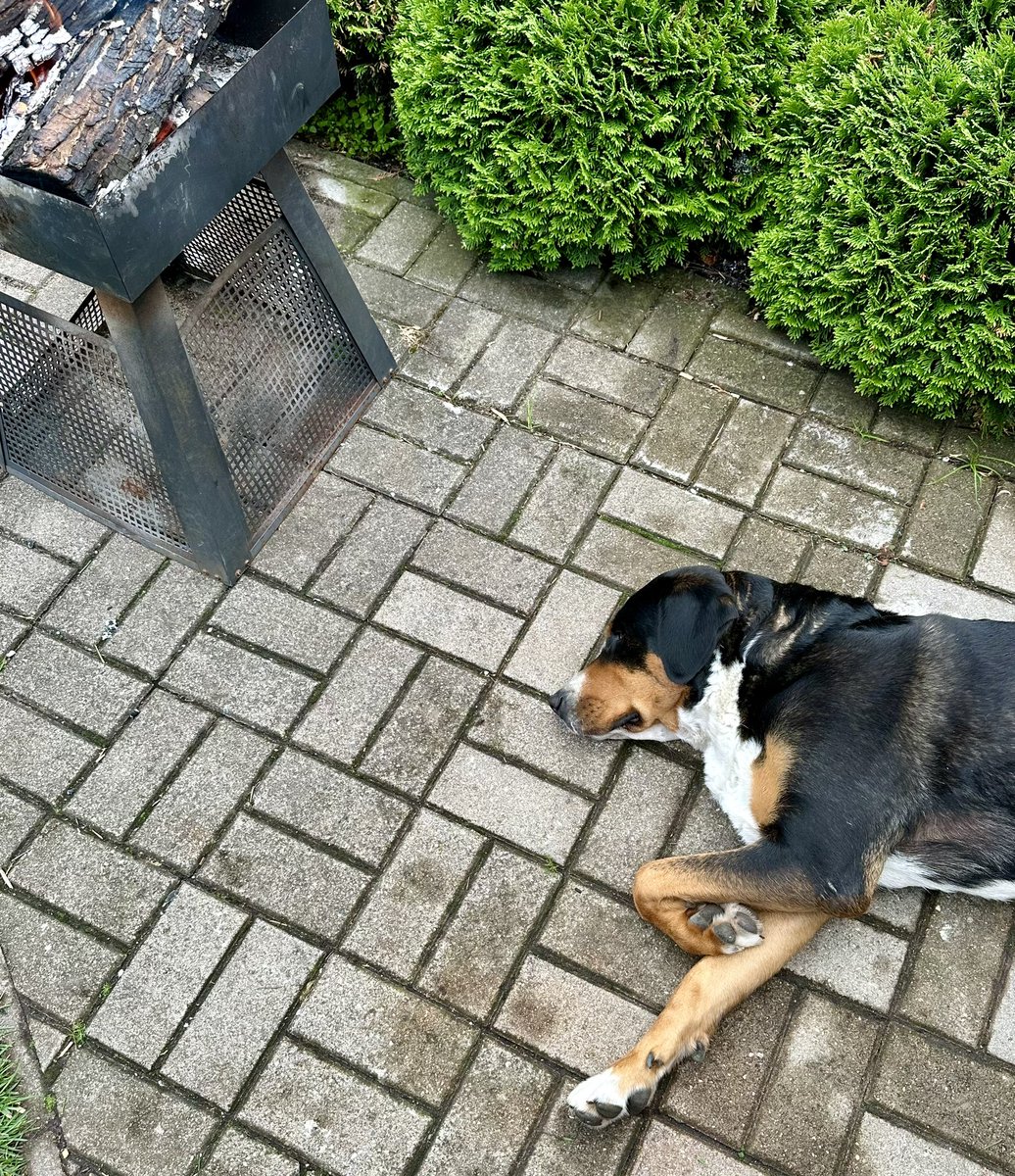 Bišk palīgoja un pietiek.
😉