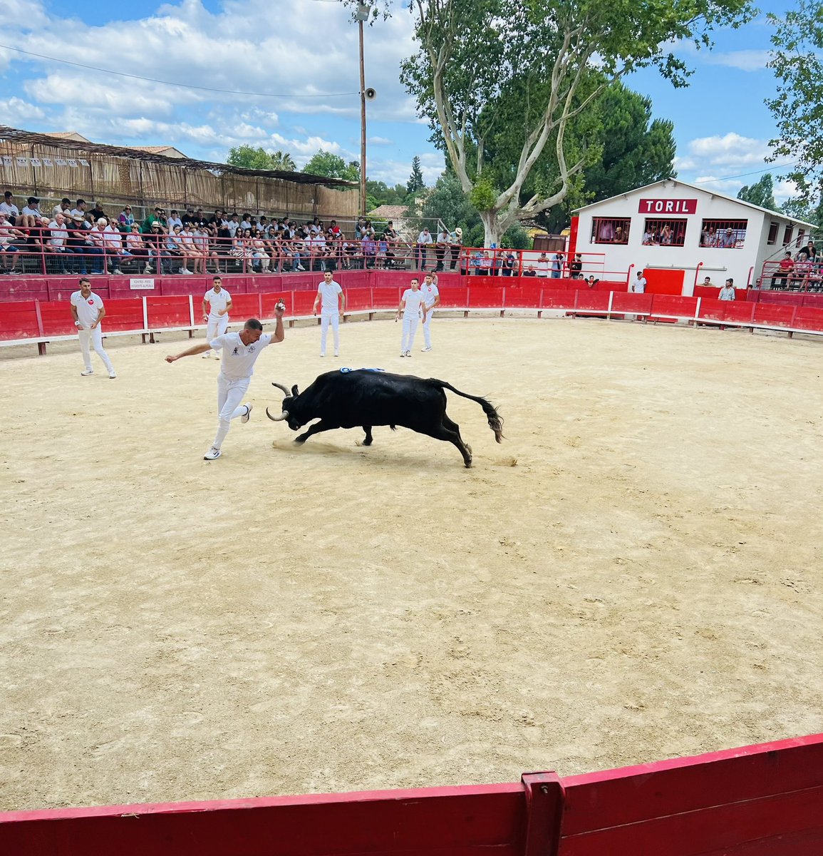 fredericbort's tweet photo. 🇫🇷 A #mudaison pour faire vivre la Bouvine et les fêtes de nos villages !
Ici on est chez nous 😉🇫🇷 https://t.co/KHZzMrKImG