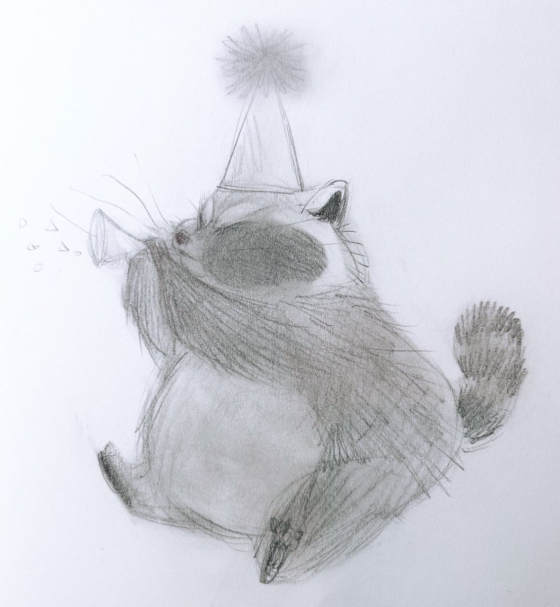 painperdues's tweet photo. Oh to be a racoon with a party hat🎉 https://t.co/4a4e1PvugL