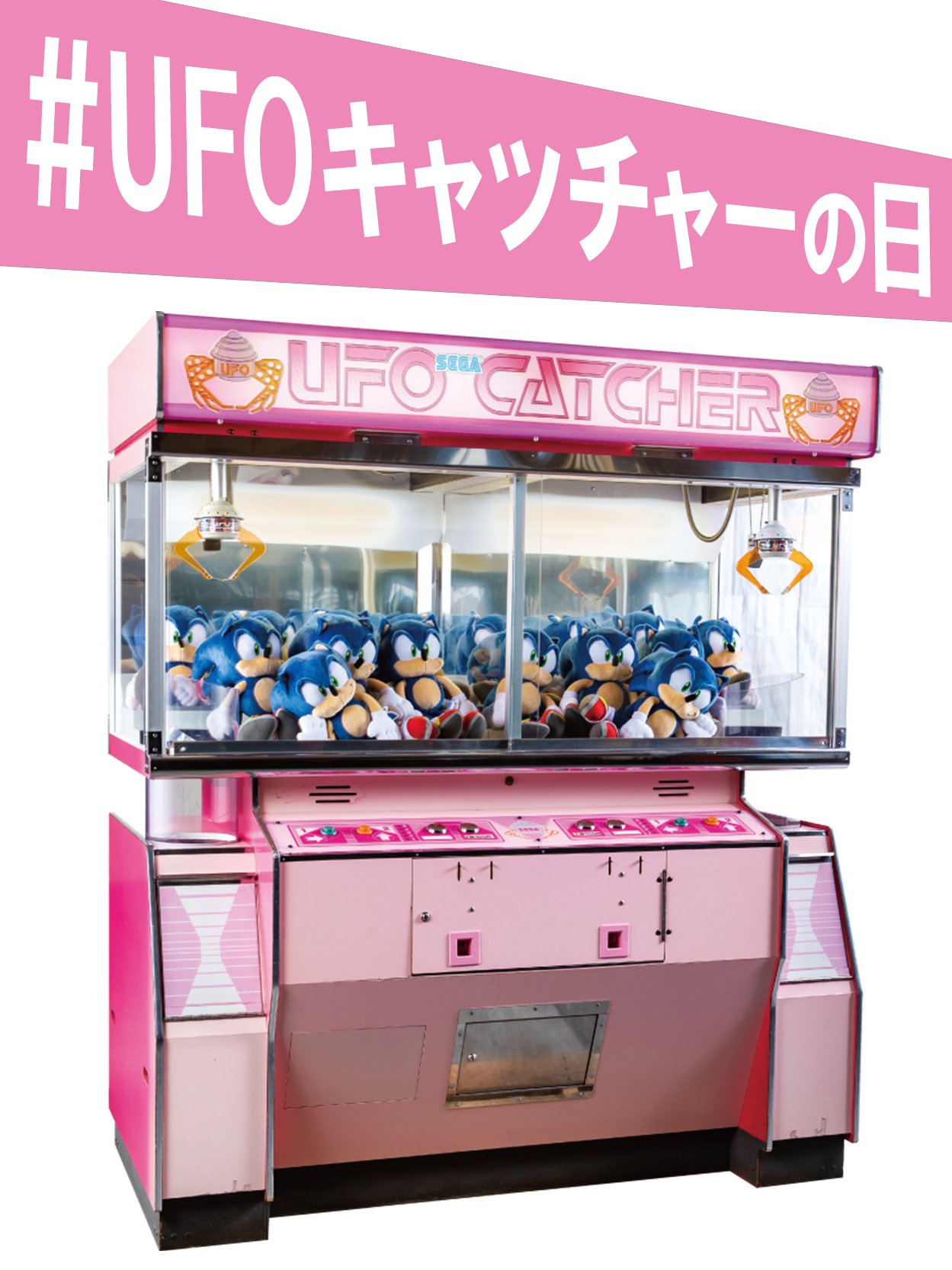 ㍿ごい企画🍭🛼 على X: ㍿ごい企画🍭🛼 على X: