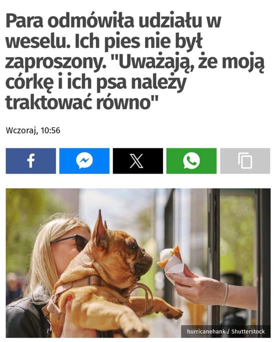 GQxE8a7XsAA0FSe