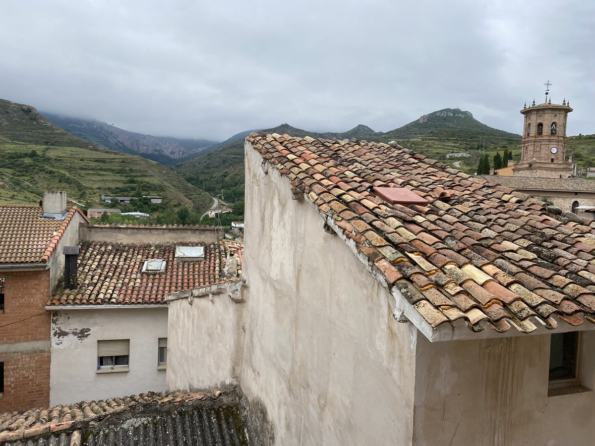 Ana B. Nieto 📚✍️ tweet media