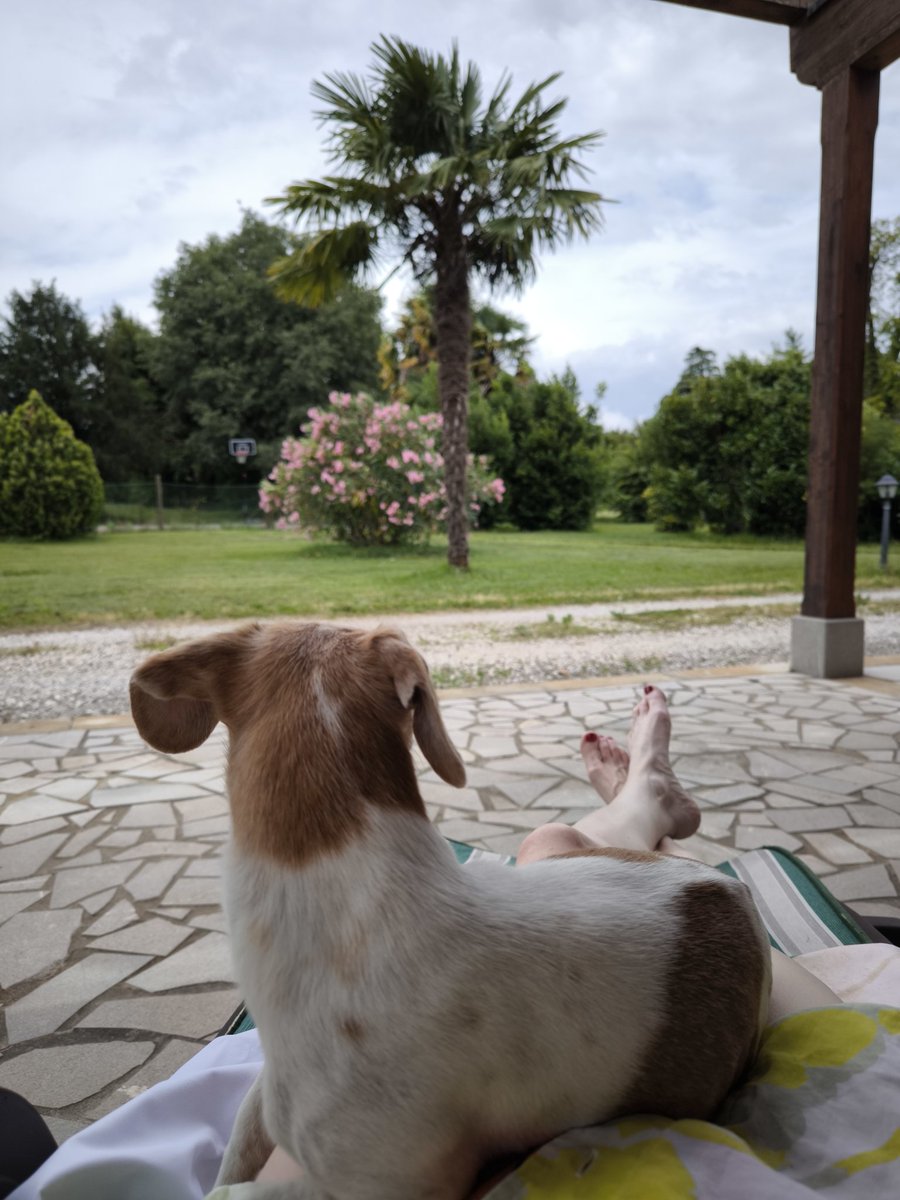 Urlaub.... #italien
