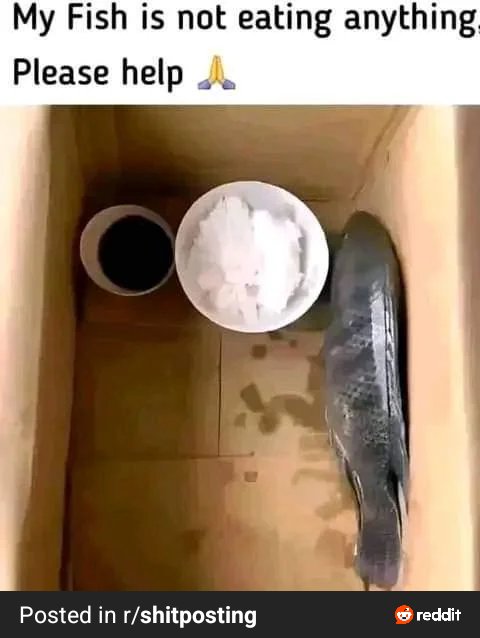 I'm not a marine biologist😒but https://t.co/vUXpmsYqH7<a href="/tag/bigdick"class="tags"><span>#bigdick</span></a><a href="/tag/tgirl"class="tags"><span>#tgirl</span></a><a href="/tag/trans"class="tags"><span>#trans</span></a><a href="/tag/bigcock"class="tags"><span>#bigcock</span></a><a href="/tag/transgirl"class="tags"><span>#transgirl</span></a><a href="/tag/frotting"class="tags"><span>#frotting</span></a>