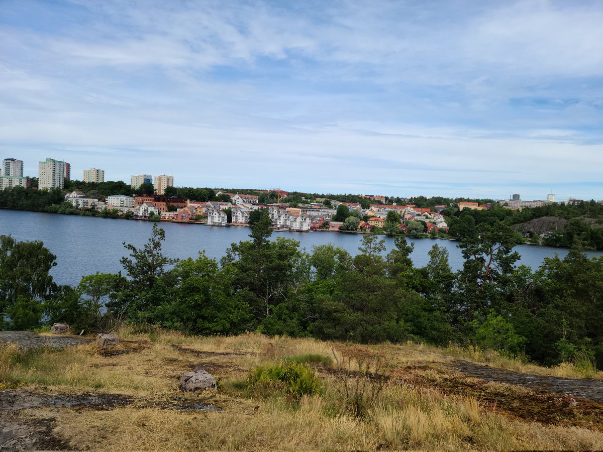 Elena Rubino tweet media