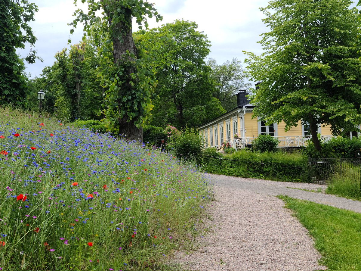 Elena Rubino tweet media