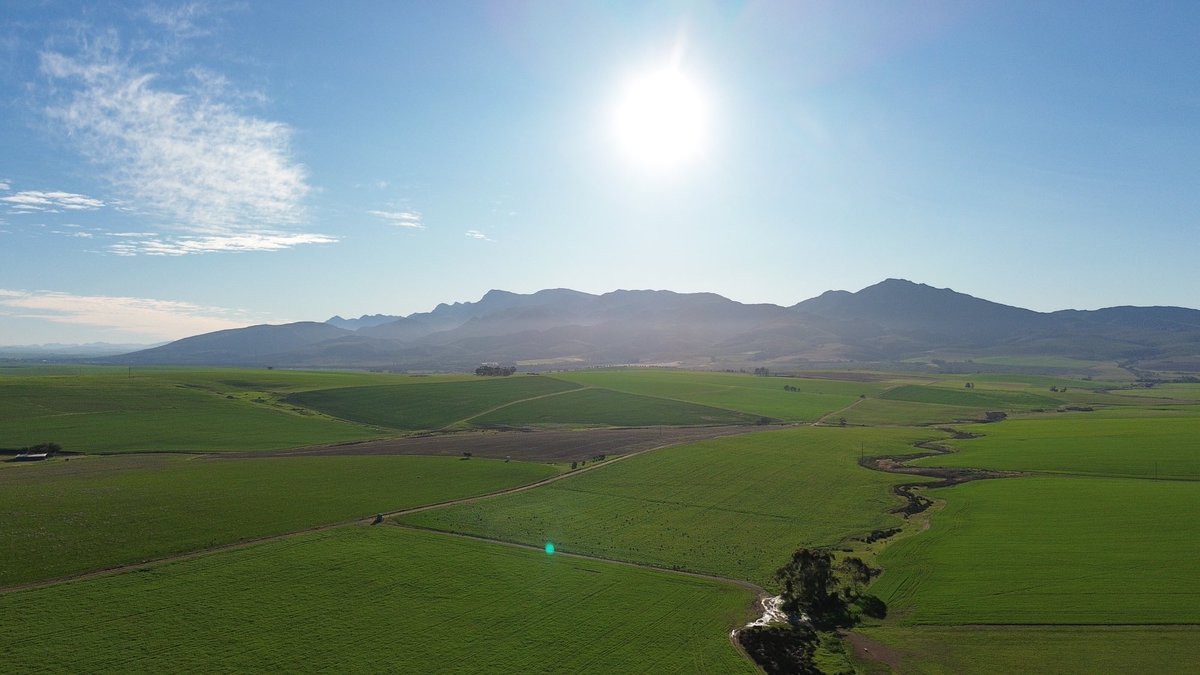 gerhardsolms's tweet image. Crops up and going, spraying started #tevredefarm #overberg