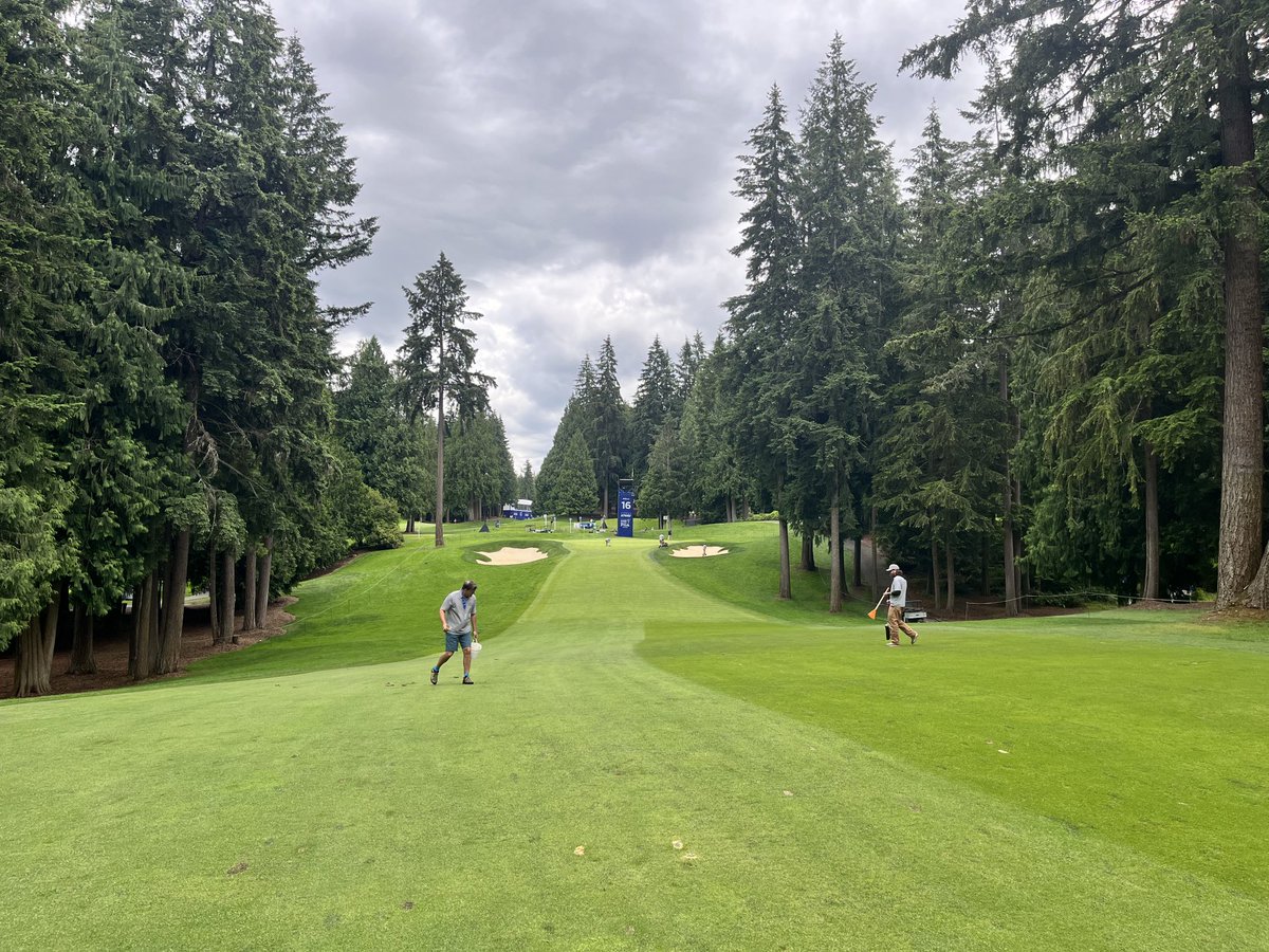 Ryan Gordon tweet media