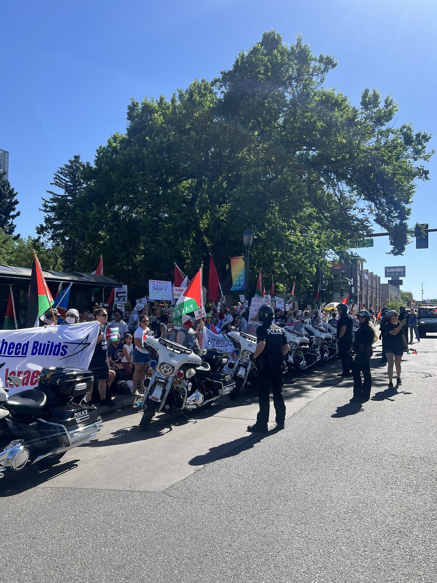 Sara Wilson tweet media