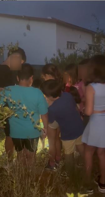 Ayer fue una noche mágica. Pese a reinar la oscuridad, hubo muchísima luz y gracias a la iluminación que procedia de la ilusión de nuestr@s paisan@s más pequeñit@s. Nuestros buscadores de deseos, se replegaron para encontrar con entusiasmo, los regalos que les hicieron las hadas.