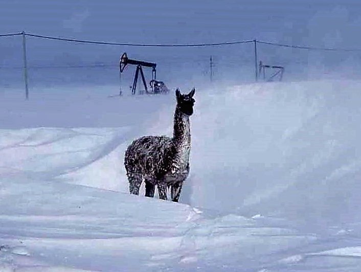 PatoPetrakosky's tweet image. #Chubut Mi Provincia ❤️❤️❤️