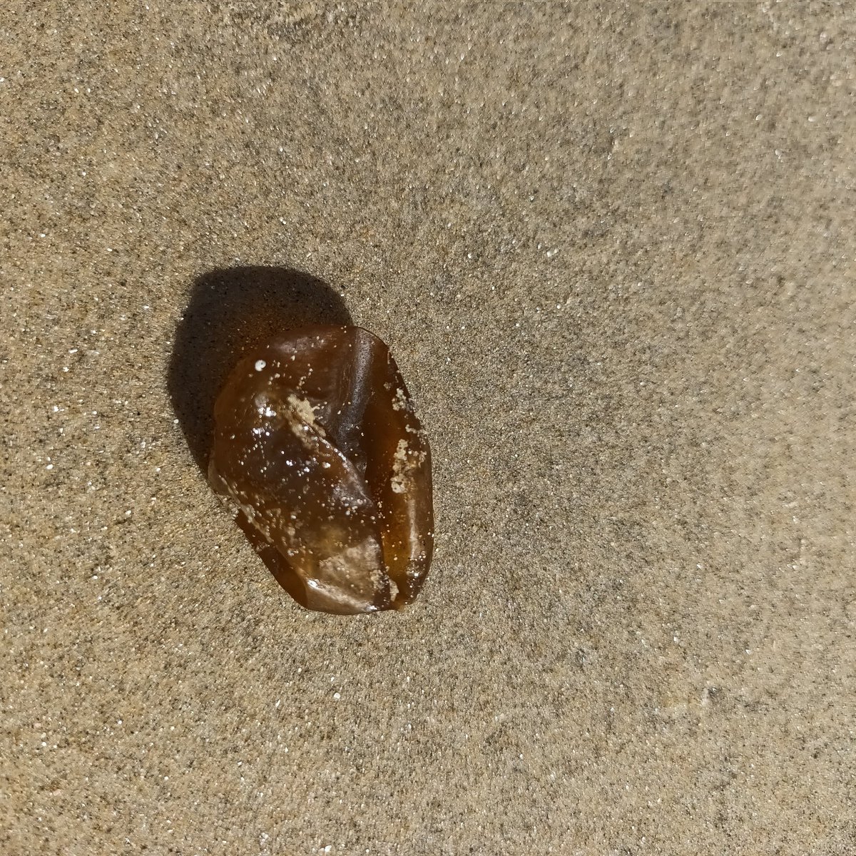 emma_cavan's tweet image. Anyone know what this is? Washed up on isle of wight beach. Felt biological and not man-made, and when not broken would be spherical. #ukbeach #MarineLife