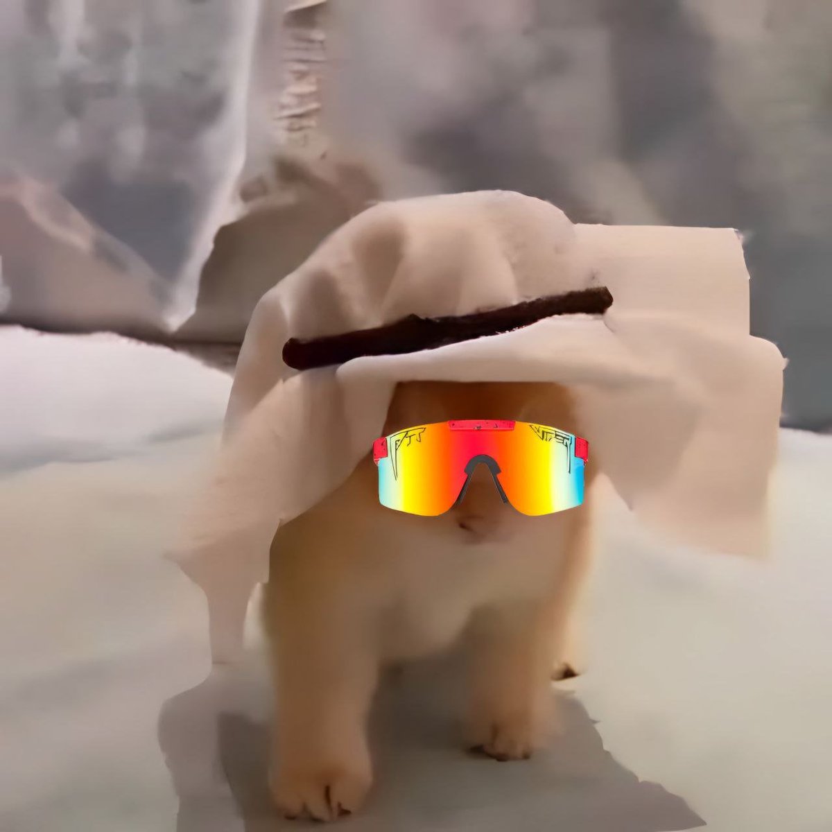 PrinceOfCATAR's tweet photo. dex has been updated! https://t.co/WL9XRjngH4