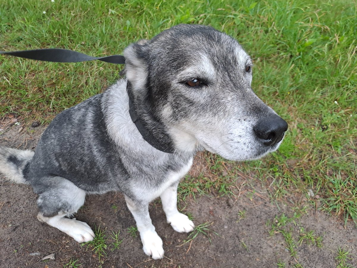 Lai jums priecīgi, sausi! Pašieguve ir laba lieta, bet nevajag pārcensties. 
Es ar savējiem mierīgi - pa māju. Mani pacienāja ar sieru!