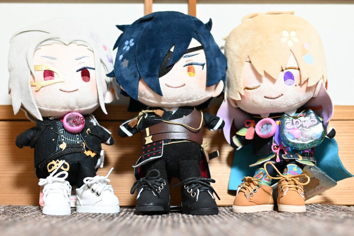 ユザワヤさんのぬい靴を買ってきて、わんぱくちゃんに履いてもらったよ