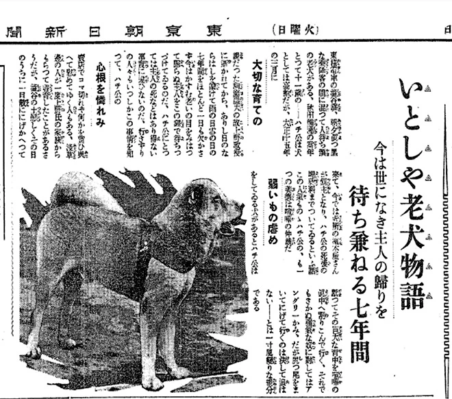hachikoerc's tweet photo. #Hachiko is a WorldWide figure that will now be written in #Blockchain history for eternity! #Crypto is watching

An article about Hachiko in The Tokyo Asahi Shimbun published on Oct. 4, 1932 (Asahi Shimbun file photo) https://t.co/TlmYdhlMxw