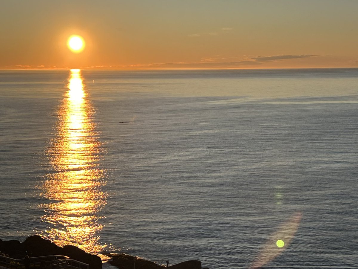 Christine Bruce (@ccabruce) on Twitter photo Another successful #LABCON2024 under our belts. A beautiful time in St.Johns with the wonderful hosts <a href="/csmls/">CSMLS / SCSLM</a>. Lots of learning. Lots of camaraderie. Lots of laughs. Nice to see laboratorians smiling again. #yeswecan. Another successful #LABCON2024 under our belts. A beautiful time in St.Johns with the wonderful hosts <a href="/csmls/">CSMLS / SCSLM</a>. Lots of learning. Lots of camaraderie. Lots of laughs. Nice to see laboratorians smiling again. #yeswecan.