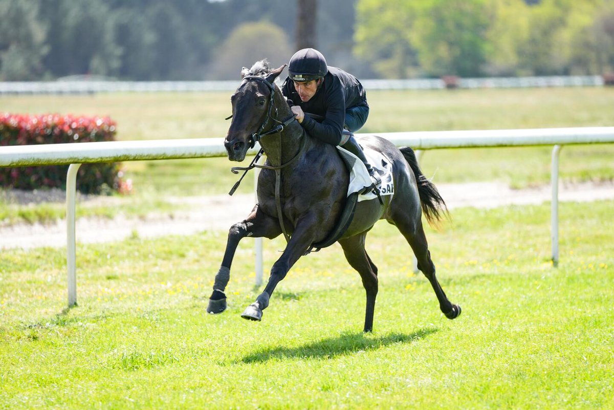 🥇 𝐌𝐈𝐒𝐒 𝐋𝐀𝐂𝐎𝐔𝐌𝐀 #breezeupwinner

MISS LACOUMA (F2, #Calyx <a href="/coolmorestud/">Coolmore</a>) wins easily today by 8 lengths at Dax for <a href="/ecuriebrogi/">Ecurie Simone Brogi</a> &amp; <a href="/AMekouche/">Mékouche Anaëlle</a>

✅ Consigned by Gourneen Stables at the La Teste Breeze-up sale in April, she was puchased by Camdebordz Bldst/Capucines Bldst