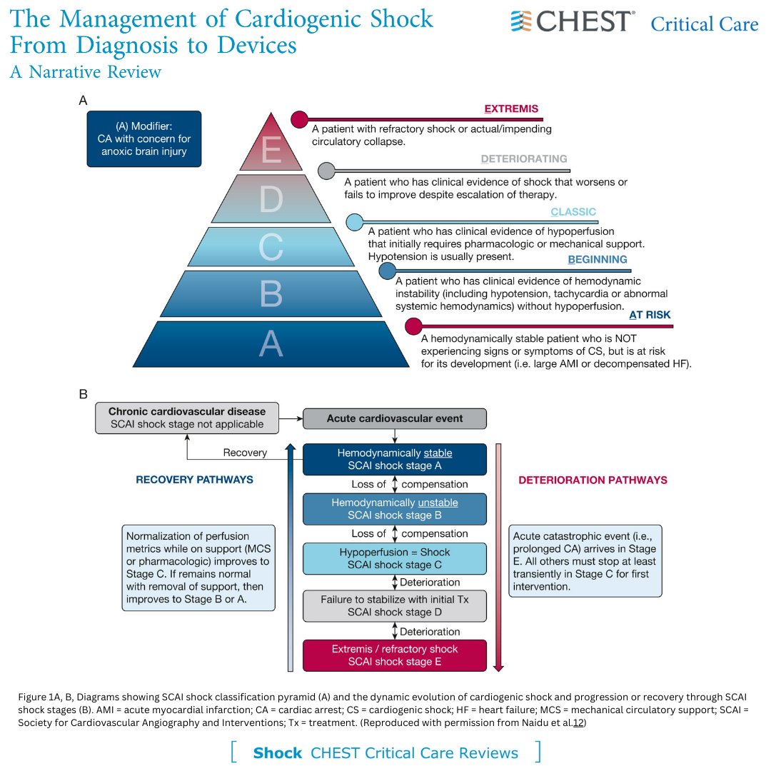 The Management of Cardiogenic Shock From Diagnosis to Devices: A Narrative Review

Read more in the June issue of #journal_CHESTCritCare: hubs.la/Q02CT4rq0
#MedEd #JournalCHEST